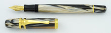 Carica l'immagine nel visualizzatore di Gallery, VISCONTI ragtime anniversary fountain pen

