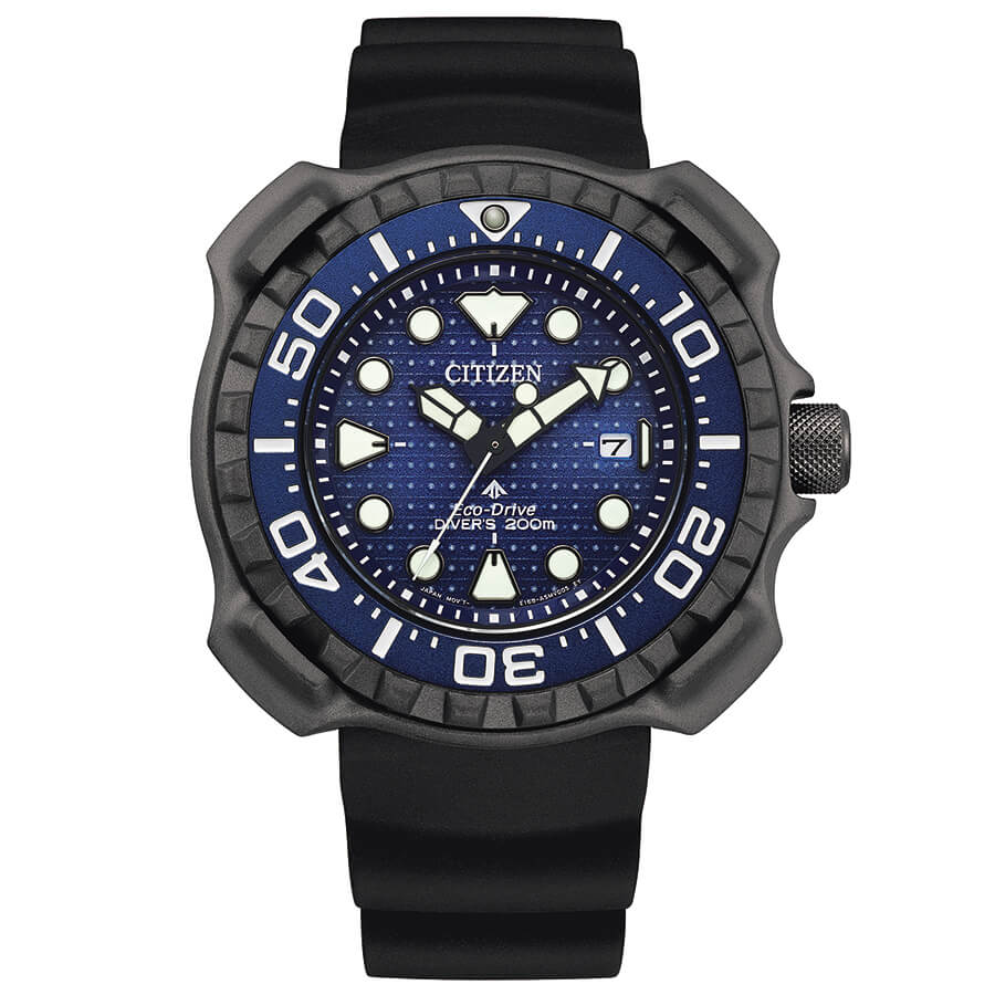 Whale Shark Limited Edition